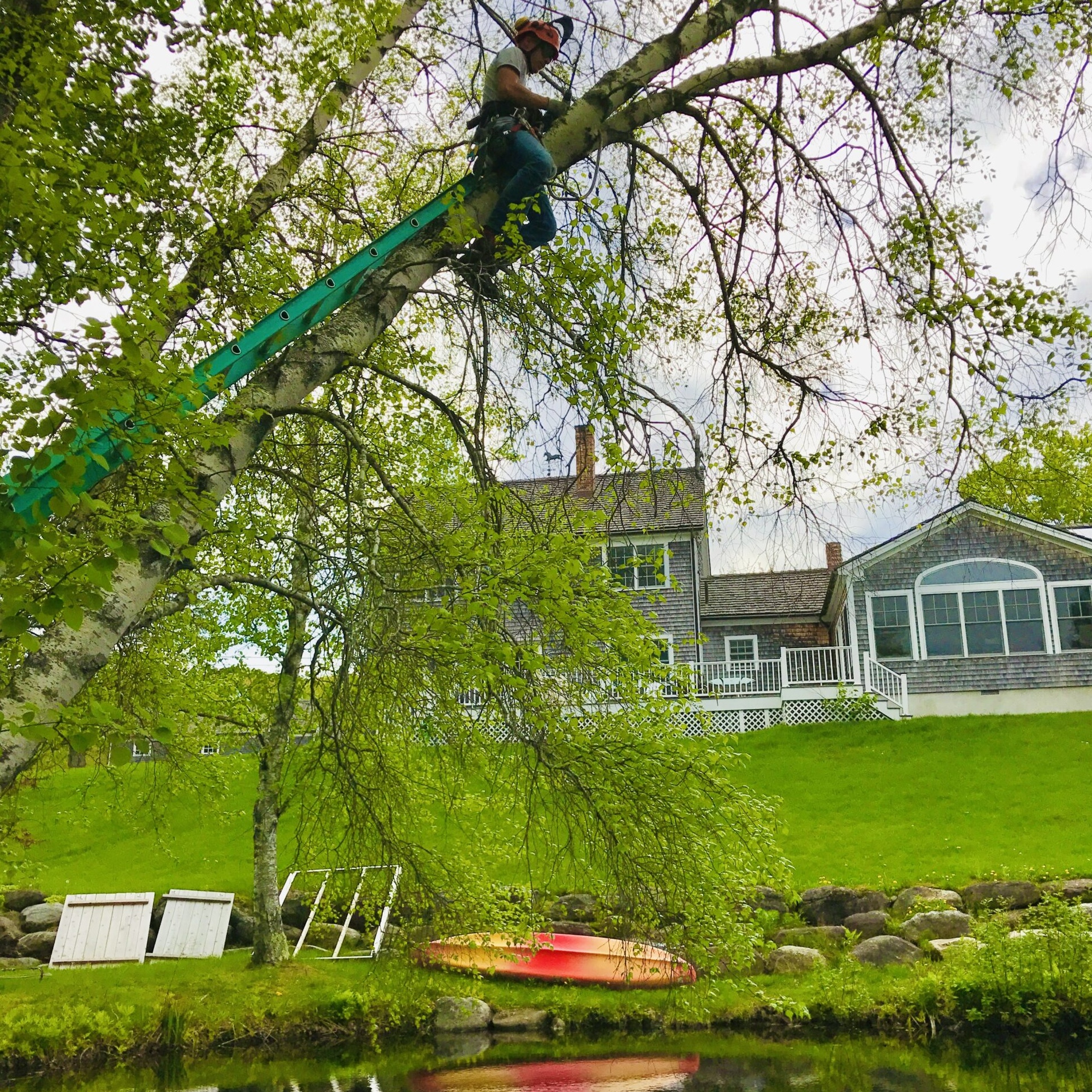 https://mainetreekeepers.com/wp-content/uploads/2025/04/IMG_3633-scaled-copy.jpeg