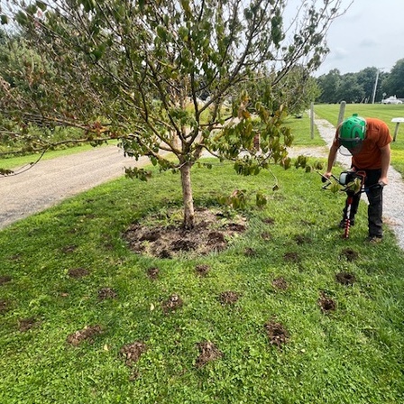 https://mainetreekeepers.com/wp-content/uploads/2025/04/IMG_4314-copy.jpg
