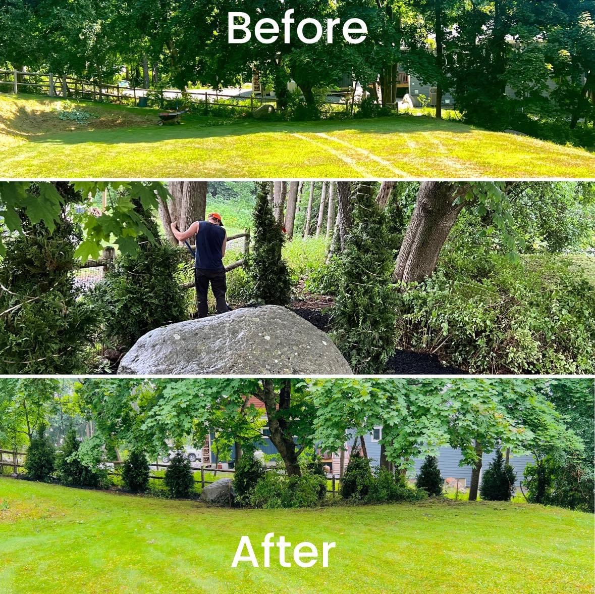 https://mainetreekeepers.com/wp-content/uploads/2025/04/IMG_4581-copy.jpeg
